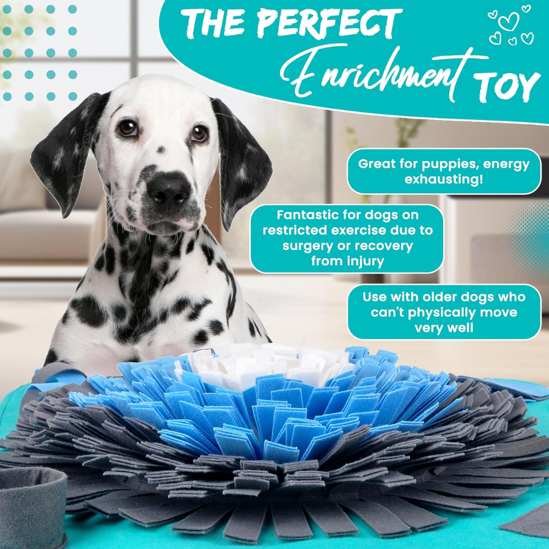 Snuffle Mat - Interactive Dog Puzzle Toys